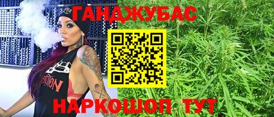 СК Новодвинск