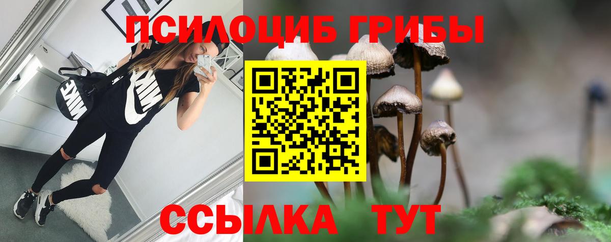 Печора  Галлюциногенные грибы прущие грибы  Вход с VPN 